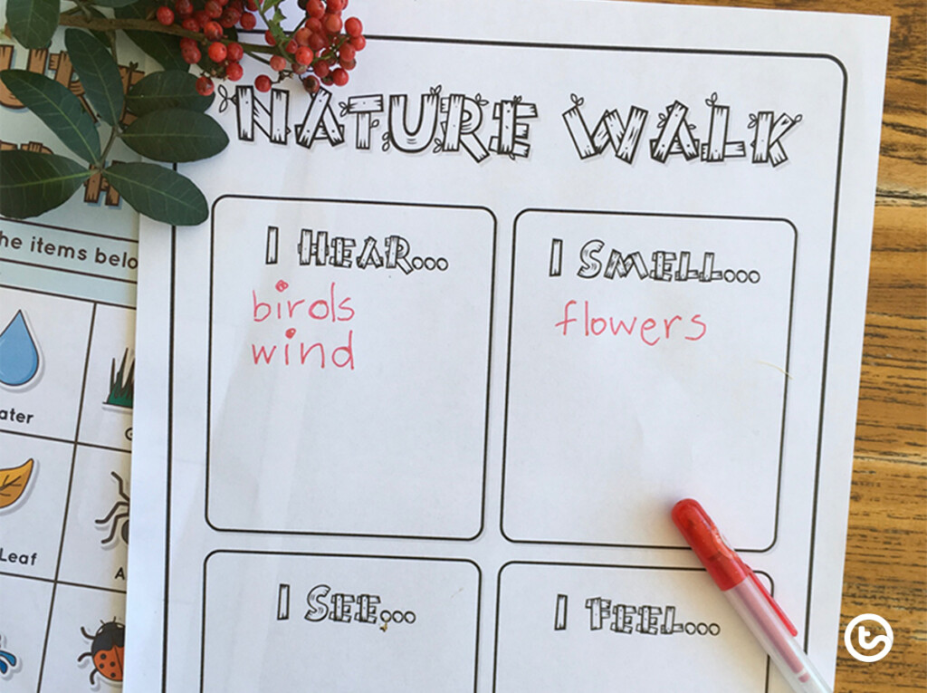 11 Nature Walk Activities For Kids To Add To Your Teacher Toolkit  - Summer Nature Walk Worksheet