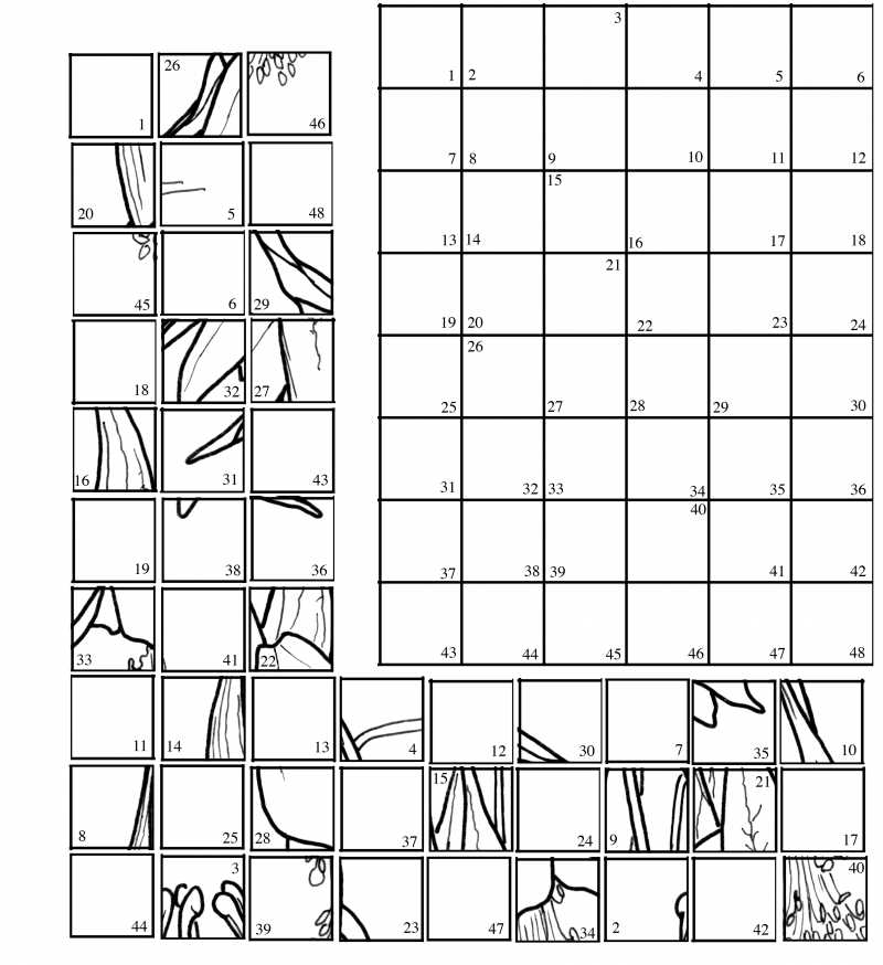 12 Mystery Picture Graph Worksheets Worksheeto - Graphing Picture Worksheet Mystery Picture Summer