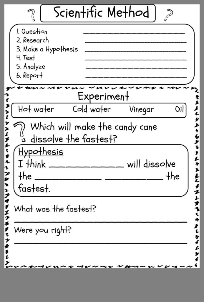 5th Grade Science Printable Worksheet - Summer Science 5Th Grade Worksheets