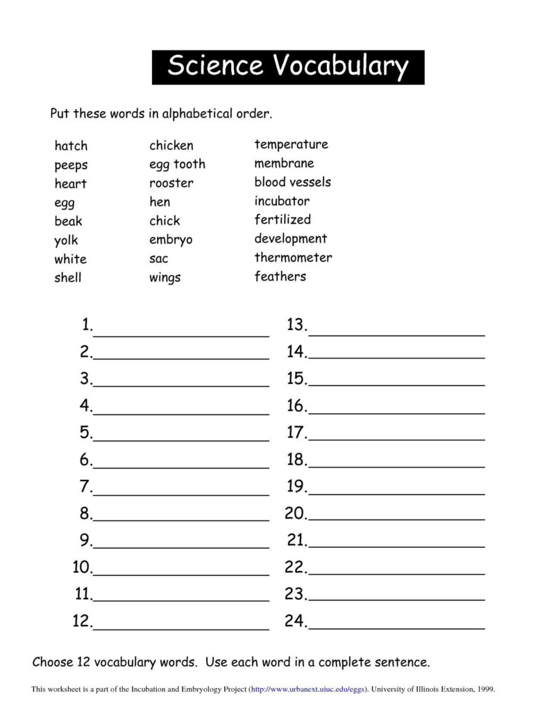 9th Grade Worksheets - Summer Worksheets For 9Th Graders