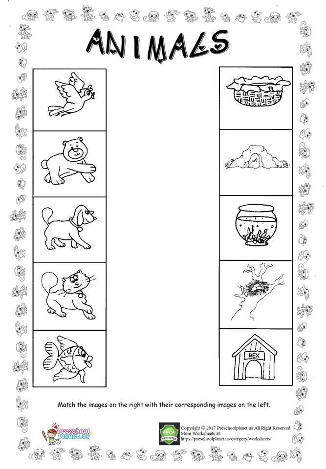 Animals Grade 1 Worksheets - Summer Animal Worksheets Grade 1