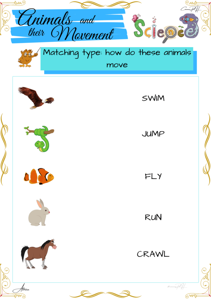 Animals Worksheets For Grade 1 Pdf - Summer Animal Worksheets Grade 1