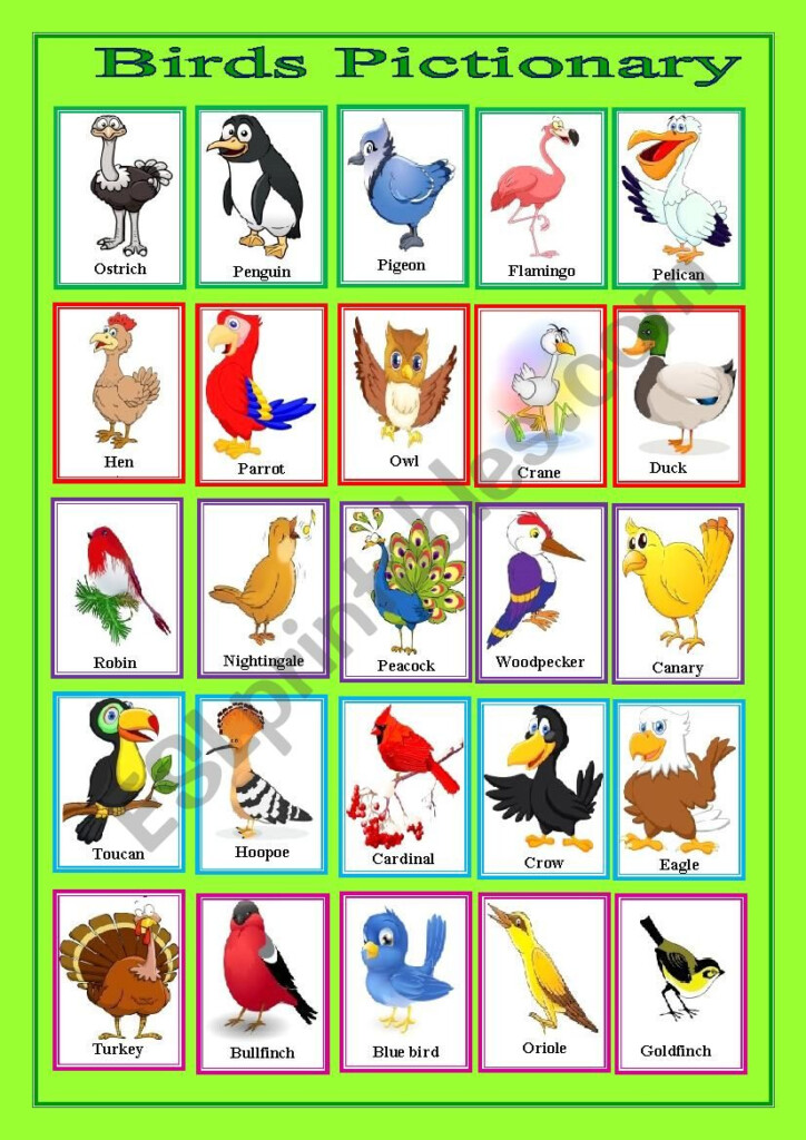 Birds Worksheets - Birds In Summer Worksheets