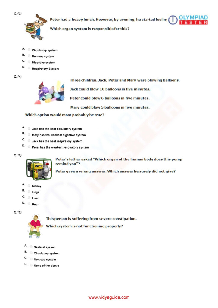 Body Systems Matching Worksheet - Body Systems Matching Worksheet Summer 2024