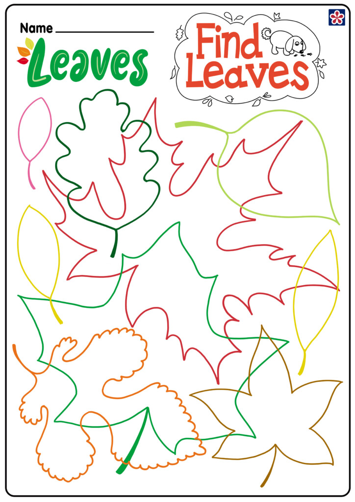 Free Fall Leaves Worksheets For Preschool And Kindergarten  - Summer And Fall Worksheets For Preschool