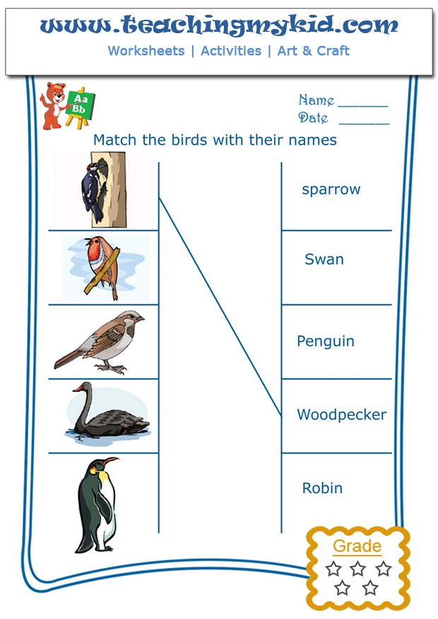 Free Worksheets Match The Birds With Their Names 3 - Birds In Summer Worksheets