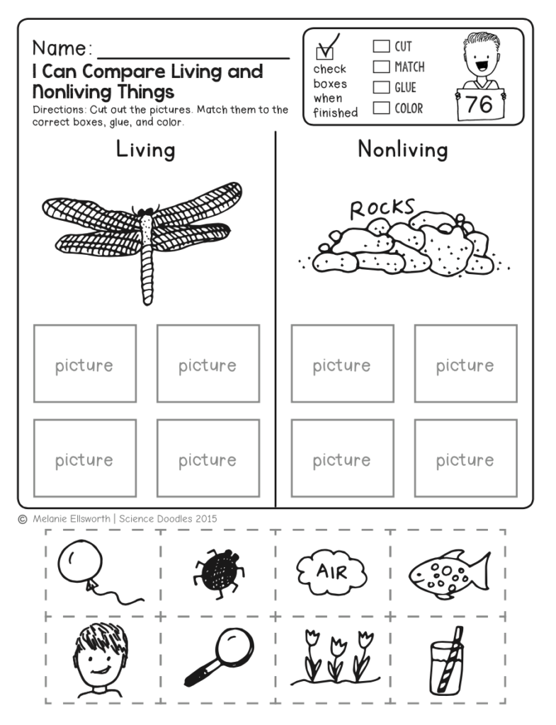 Free Worksheets Printables For Science - Summer Science Worksheets