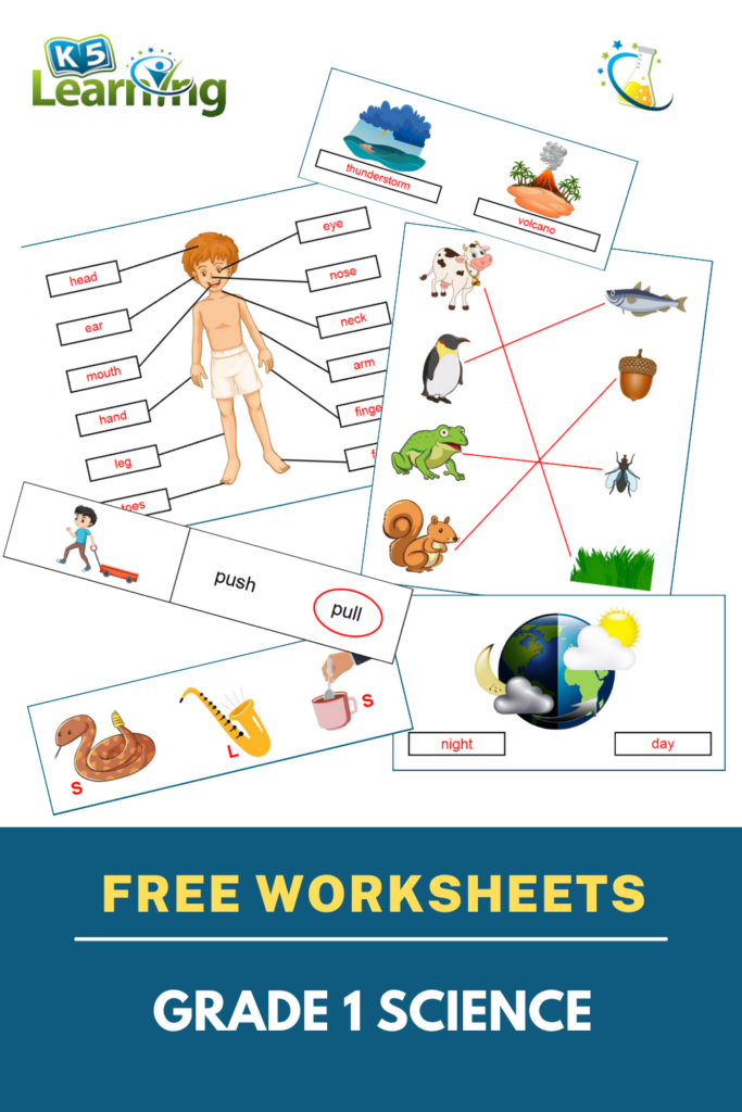 Grade 1 Science Worksheets Science Worksheets 1st Grade Worksheets  - Summer Science Worksheets