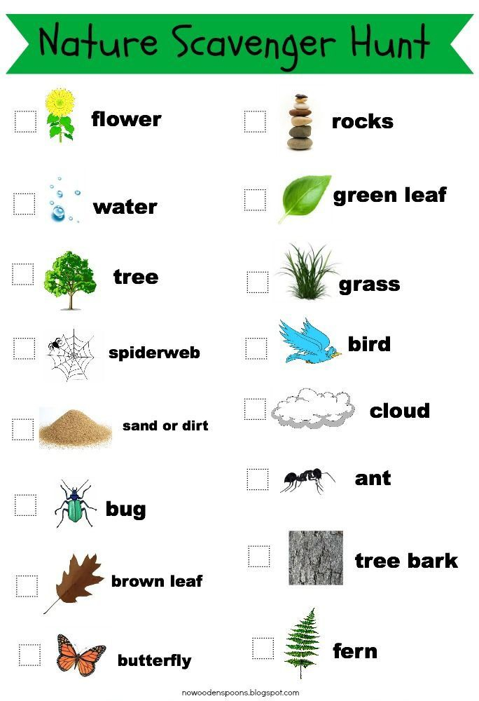 Nature Walk Scavenger Hunt Free Printable Uk - Summer Nature Walk Worksheet