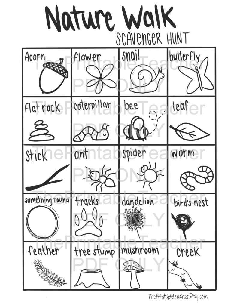 Nature Walk Scavenger Hunt Printable PDF Coloring Sheet Etsy - Summer Nature Walk Worksheet