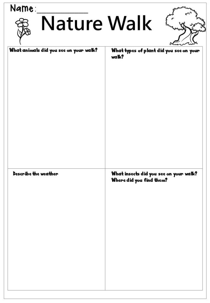 Nature Walk Worksheet Free Printable - Summer Nature Trail Worksheet