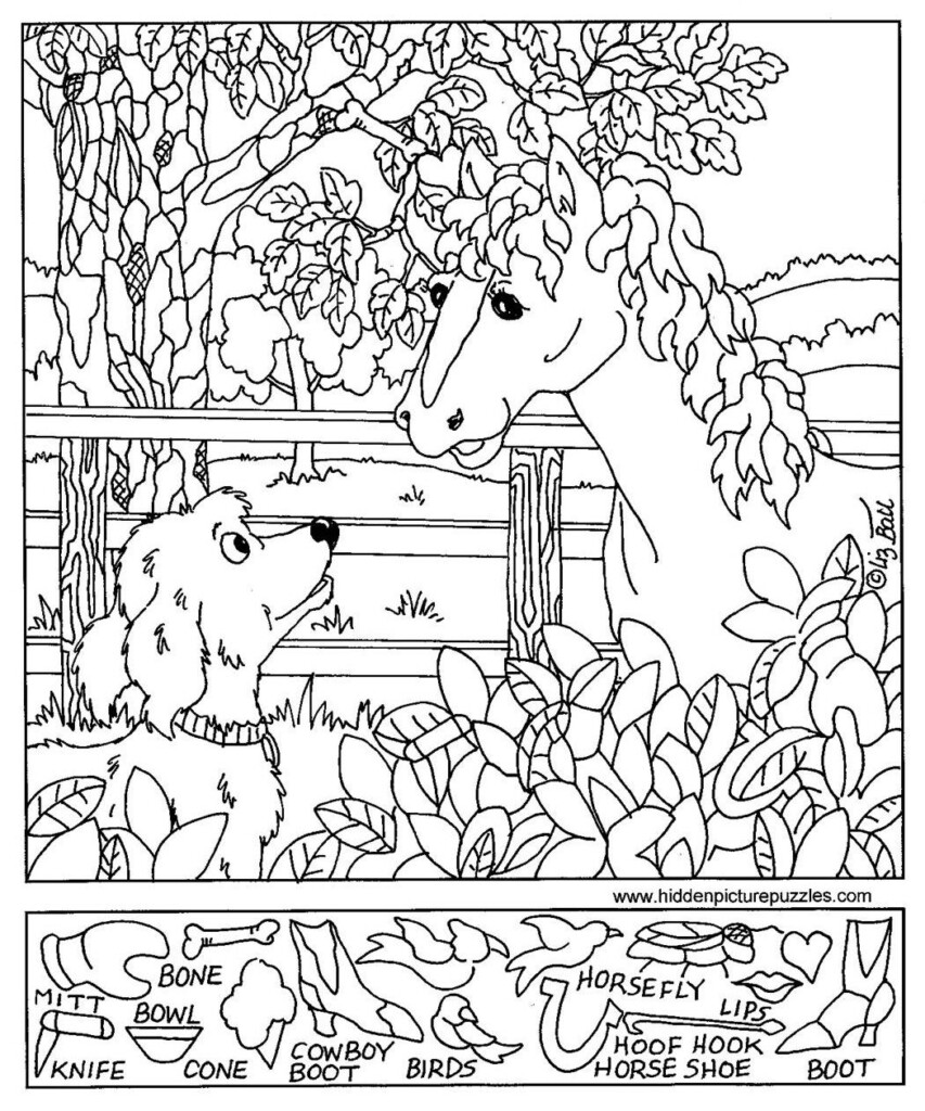 Printable Hidden Picture Puzzles For Summer - Summer Hidden Picture Worksheet