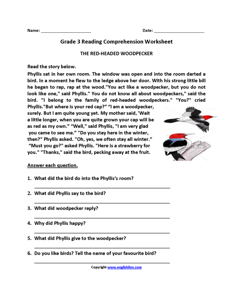 Printable Reading Worksheets For 3rd Grade - Summer Reading Worksheets 3Rd Grade