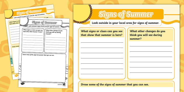 Signs Of Summer Investigation Worksheet teacher Made  - Signs Of Summer Worksheet