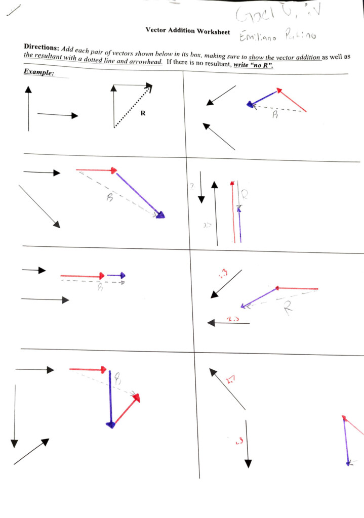 SOLUTION Vector Addition Worksheet Studypool - Vector Addition Worksheet Linfield Summer