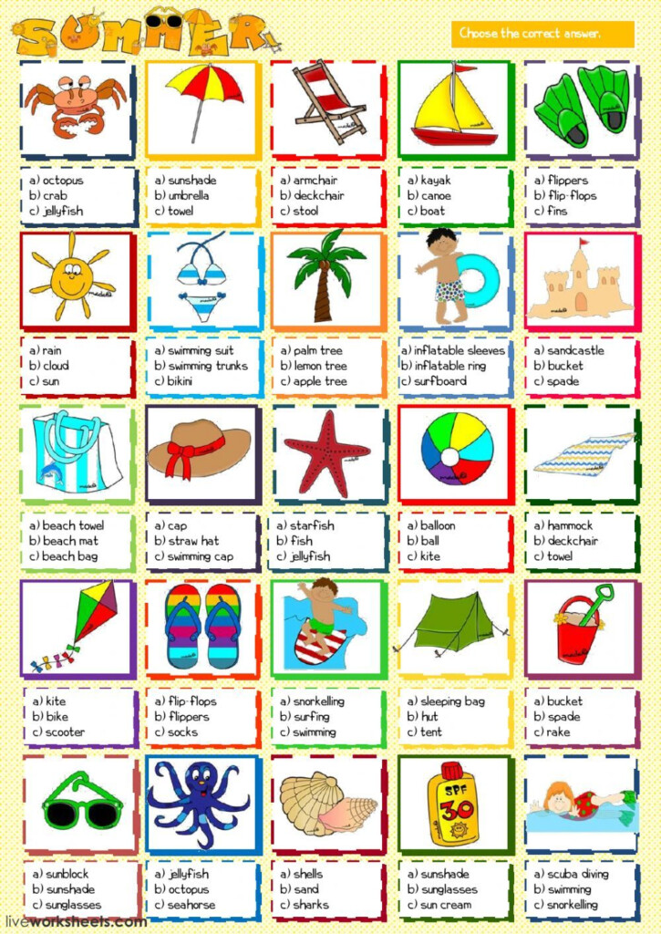 Summer Vocabulary Interactive And Downloadable Worksheet You Can Do  - Live Worksheets Summer