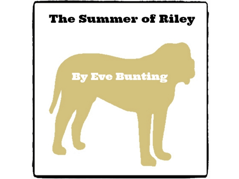 The Summer Of Riley Reed Novel Studies Teaching Resources - Summer Of Riley Worksheets