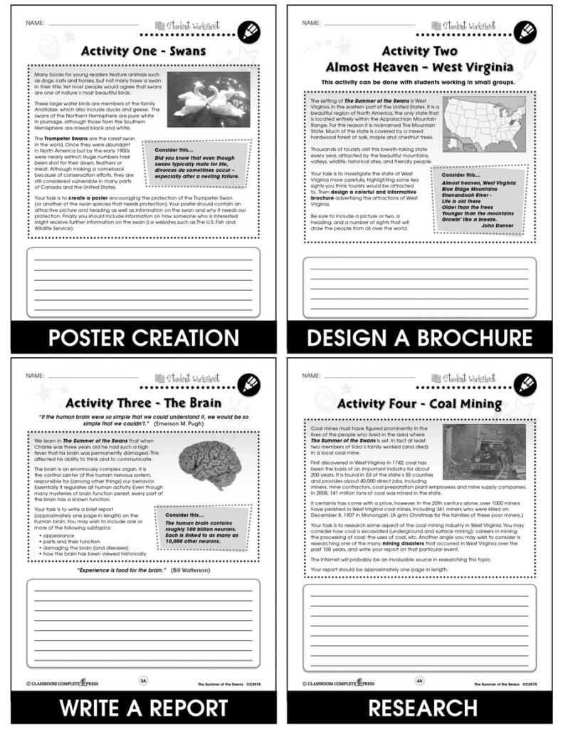 The Summer Of The Swans BONUS WORKSHEETS Grades 5 To 6 EBook  - Summer Of The Swans Worksheets