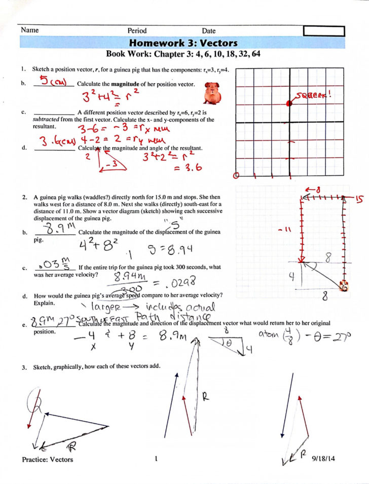 Vector Addition Worksheet Answer Key - Vector Addition Worksheet Linfield Summer Answer Key