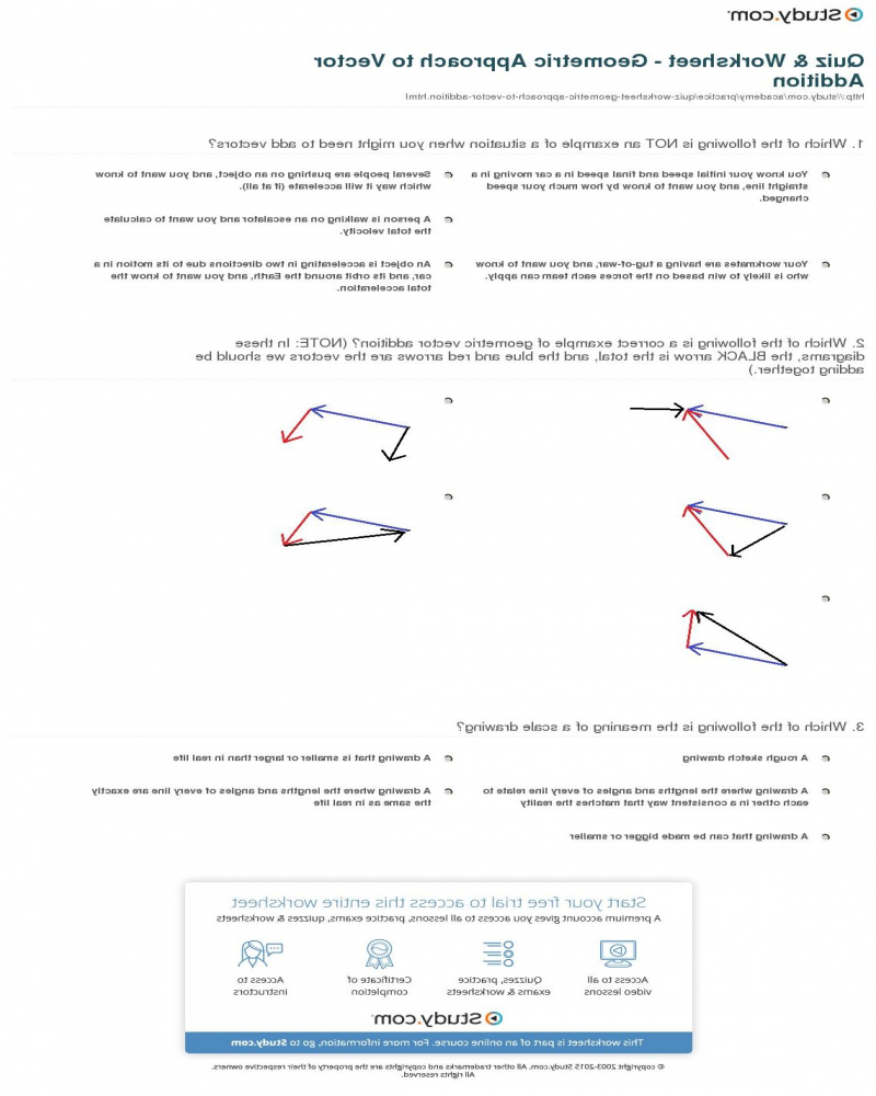 Vector Addition Worksheet Linfield Summer Answer Key Math Worksheets  - Vector Addition Worksheet Kinfild Summer