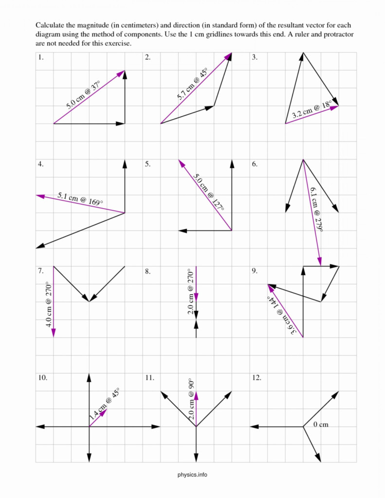 Vector Addition Worksheet With Answers - Vector Addition Worksheet Kinfild Summer