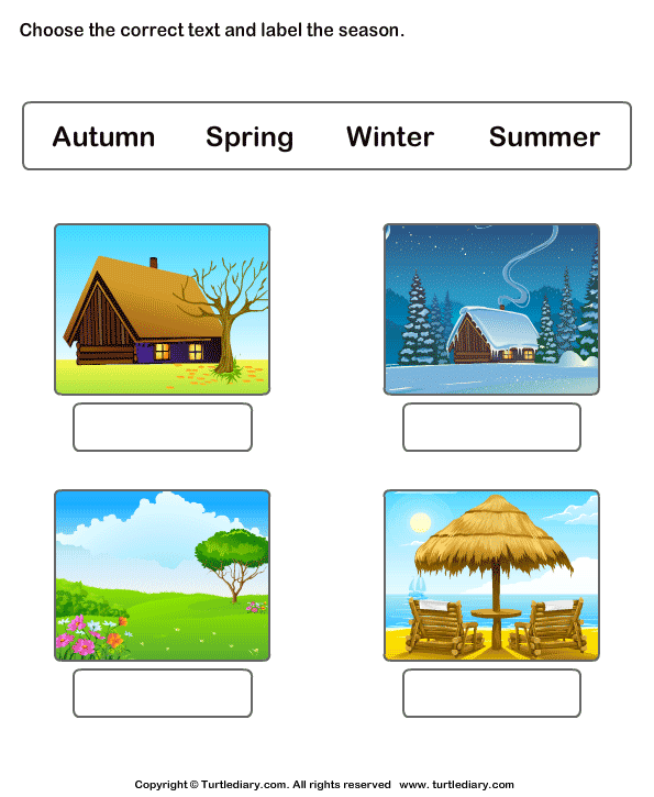 Winter Spring Summer Fall Turtle Diary Worksheet - Summer And Winter Worksheet Answers