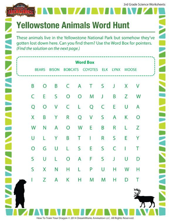 Yellowstone Animals Word Hunt Learn About The Animals Of Yellowstone  - Yellowstone Summer Worksheet