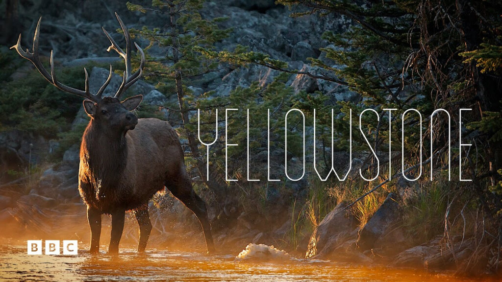 Yellowstone Documentary BBC Select YouTube - Yellowstone Episode 2 Summer Bbc Documentary Worksheet