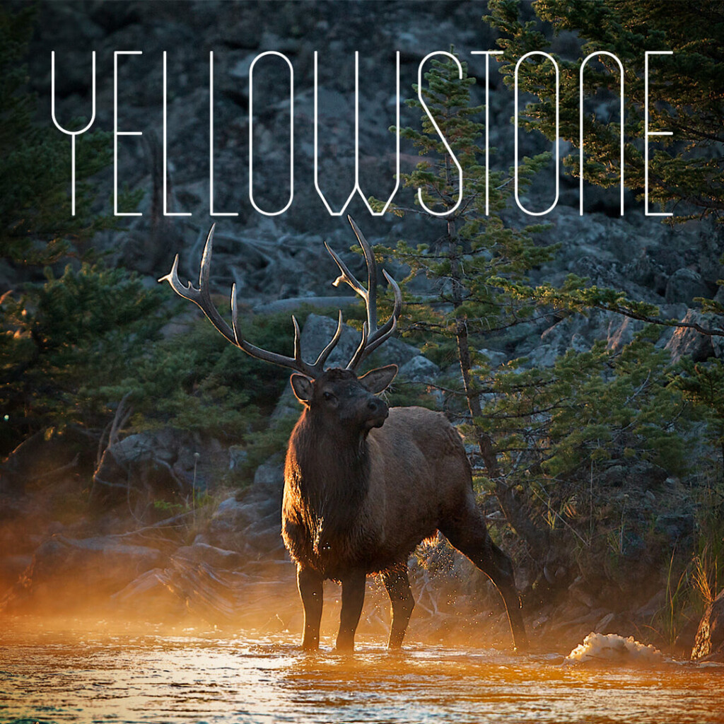 Yellowstone Documentary Stream With BBC Select - Yellowstone Summer Bbc Documentary Worksheet