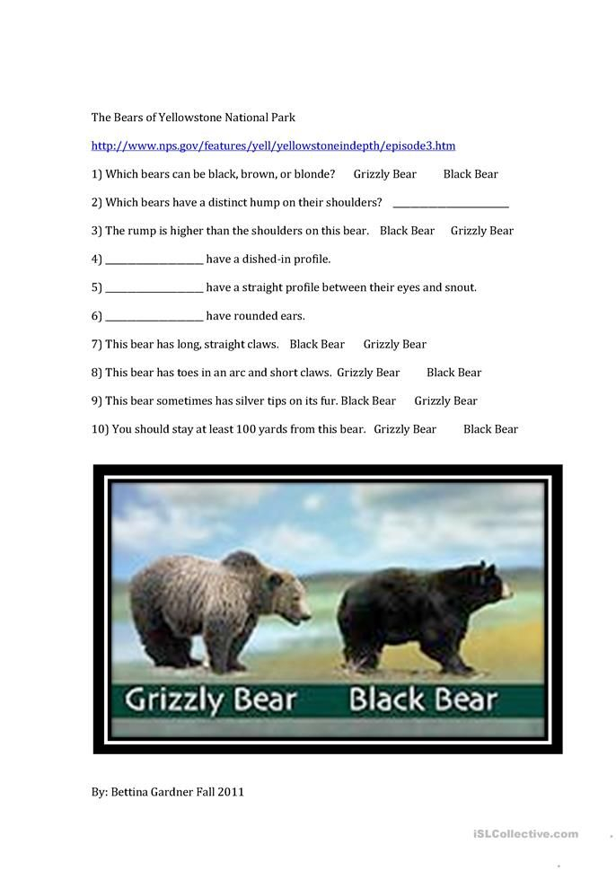 Yellowstone National Park Worksheets 99worksheets Vrogue co - Yellowstone Documentary Summer Worksheet